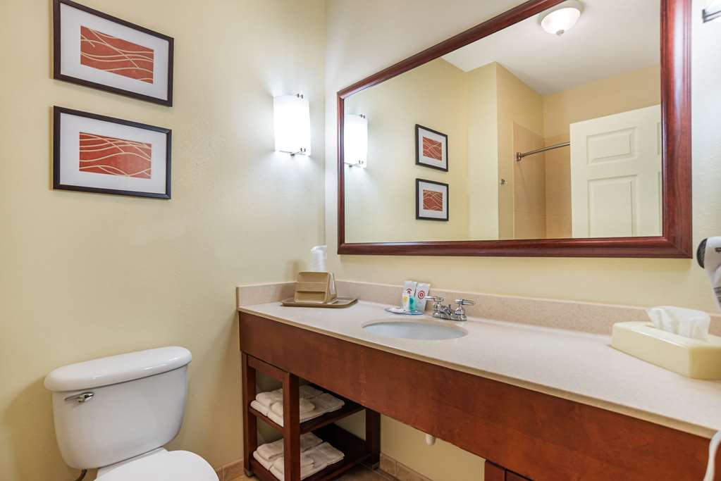 Comfort Inn & Suites Crestview South - photo 11