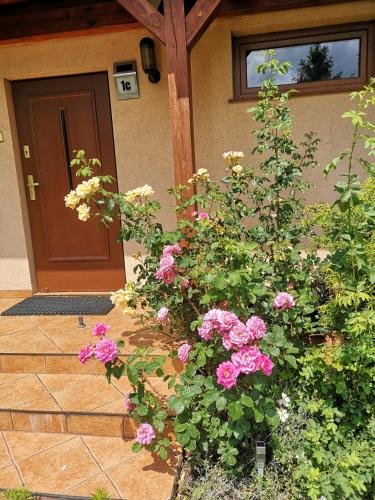 Ustroń Dom Aneta in Ustron, Poland