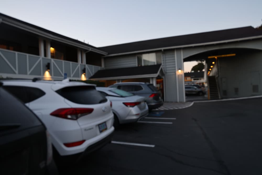 Global Inn - photo 12