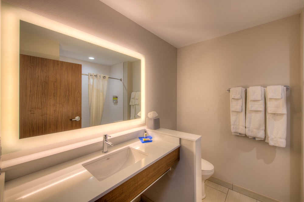 Holiday Inn Express & Suites Remington by IHG - photo 6