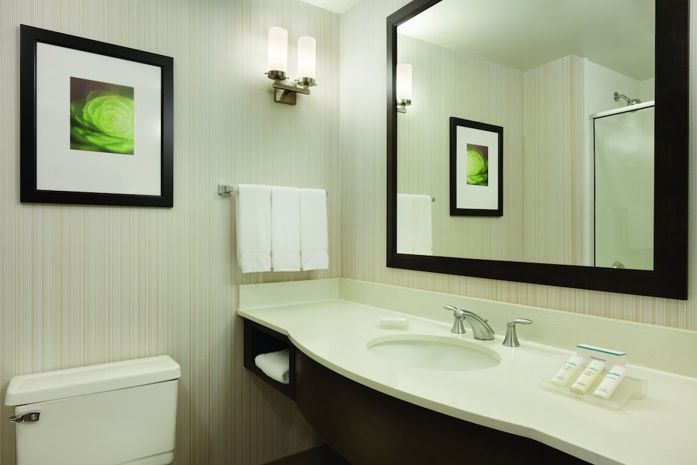 Hilton Garden Inn Rochester Pittsford - photo 25