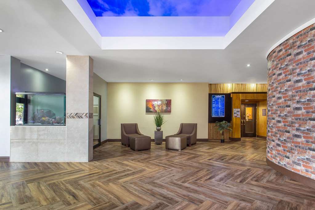 Ramada by Wyndham Tampa Westshore Airport South - photo 8