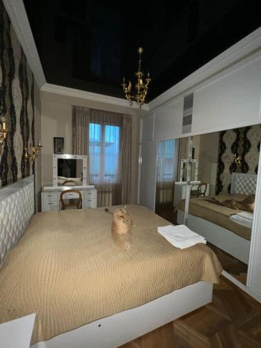 Apartment in the center of the city Vera