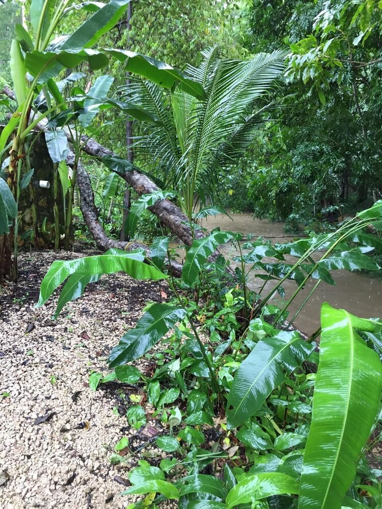 Hotel Paraso Inn in Palenque, Mexico