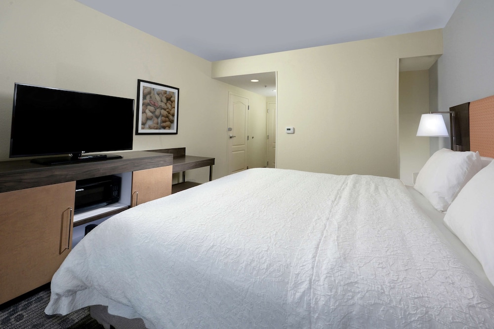Hampton Inn & Suites Greenville Spartanburg I 85 SC - photo 13