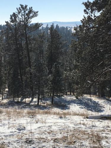 Priceless Black Hills View - photo 48