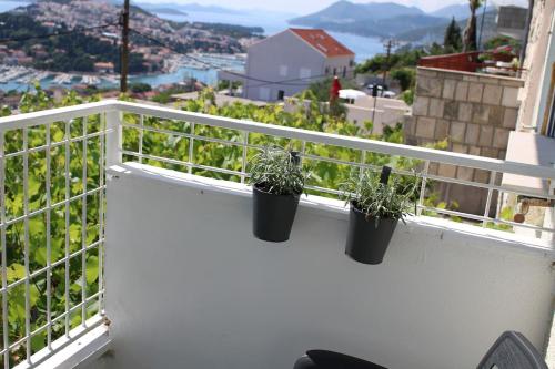 Mediterranean Vista