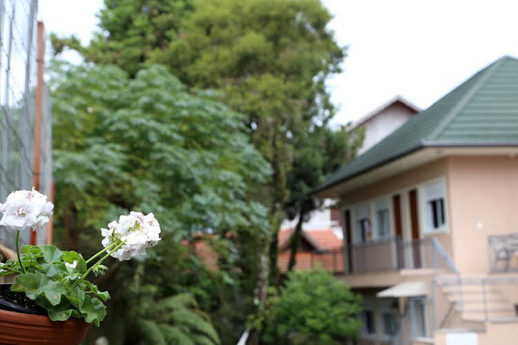 Pousada Caminho das Rosas — Canela — photo 2