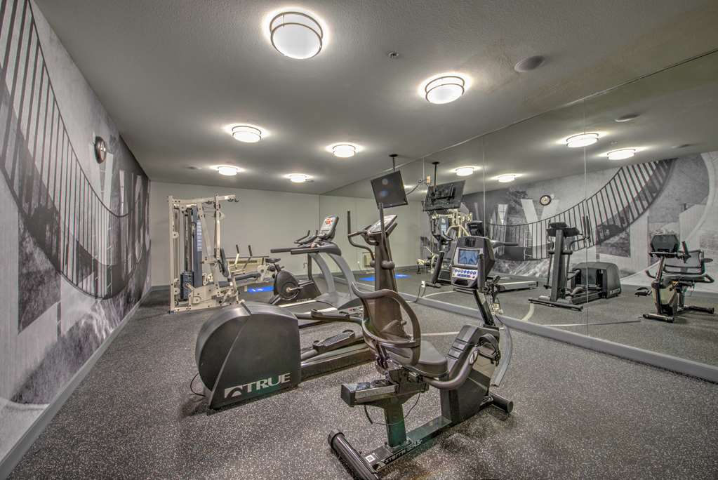 Best Western Plus Media Center Inn & Suites - photo 6