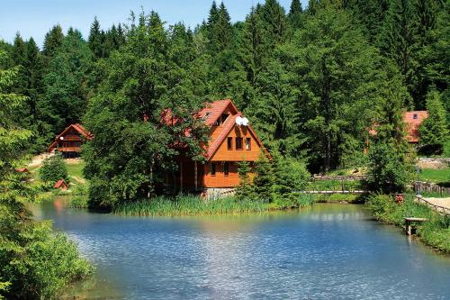 Ozero Vita in Truskavets', Ukraine