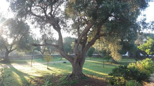 Sol Invictus Est - carbon neutral hotel in Unknown City