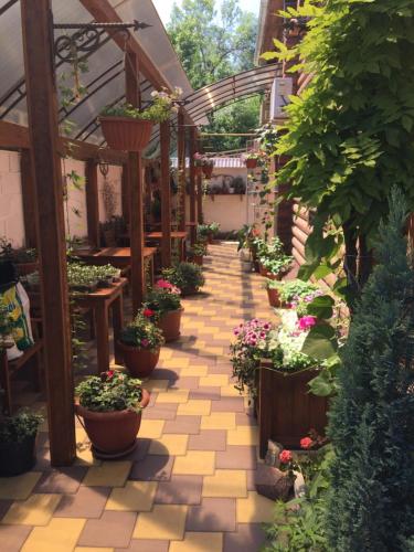 Hotel Kazachok in Nevinnomyssk, Russia