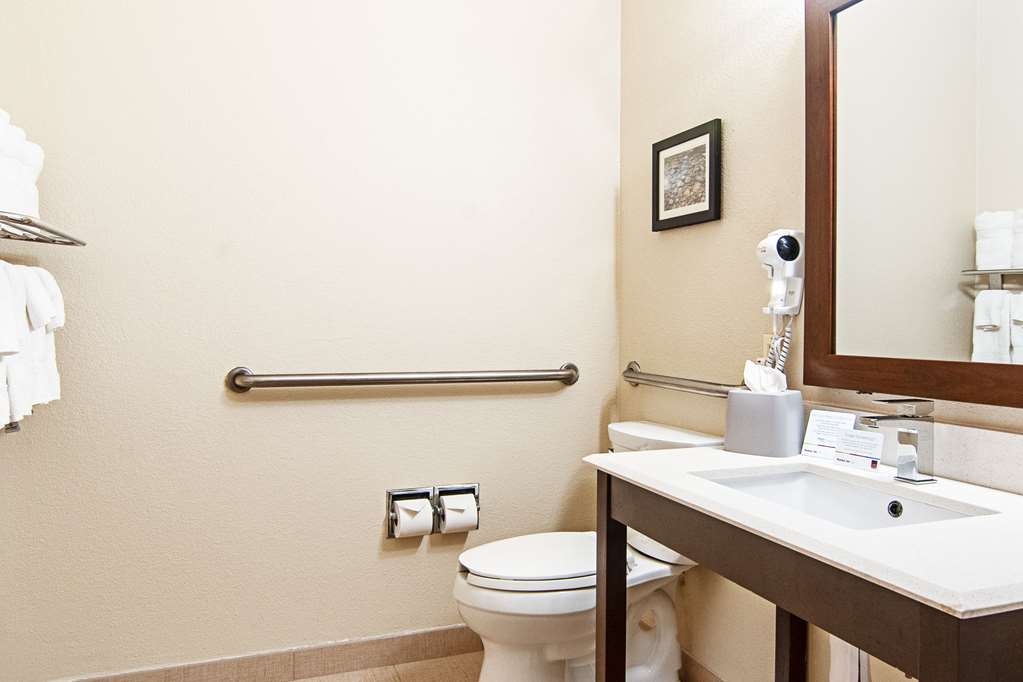 Comfort Suites NW Dallas Near Love Field - photo 19