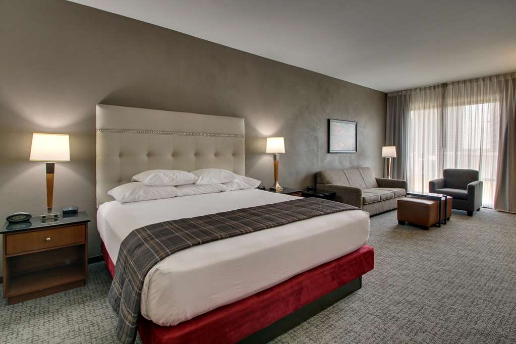 Drury Plaza Hotel San Antonio Riverwalk - photo 43