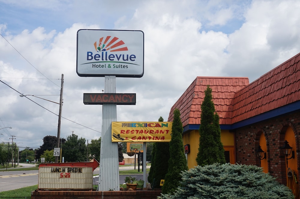 Bellevue Hotel & Suites - photo 63