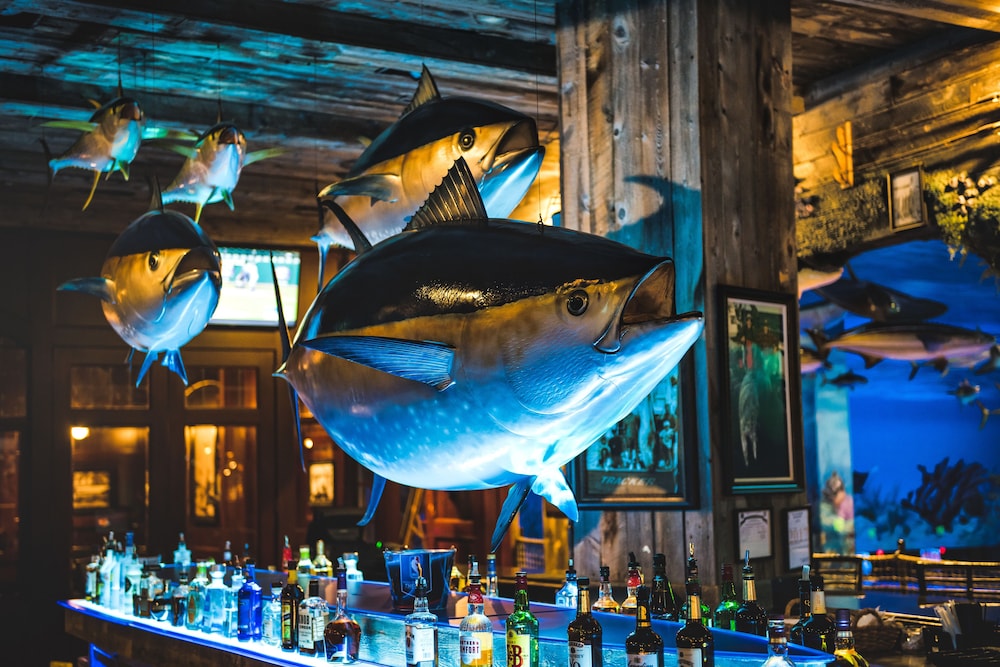 Big Cypress Lodge - photo 49