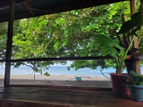 Philipino Heart beachfront paradise pet-friendly hotel Nagbalaye