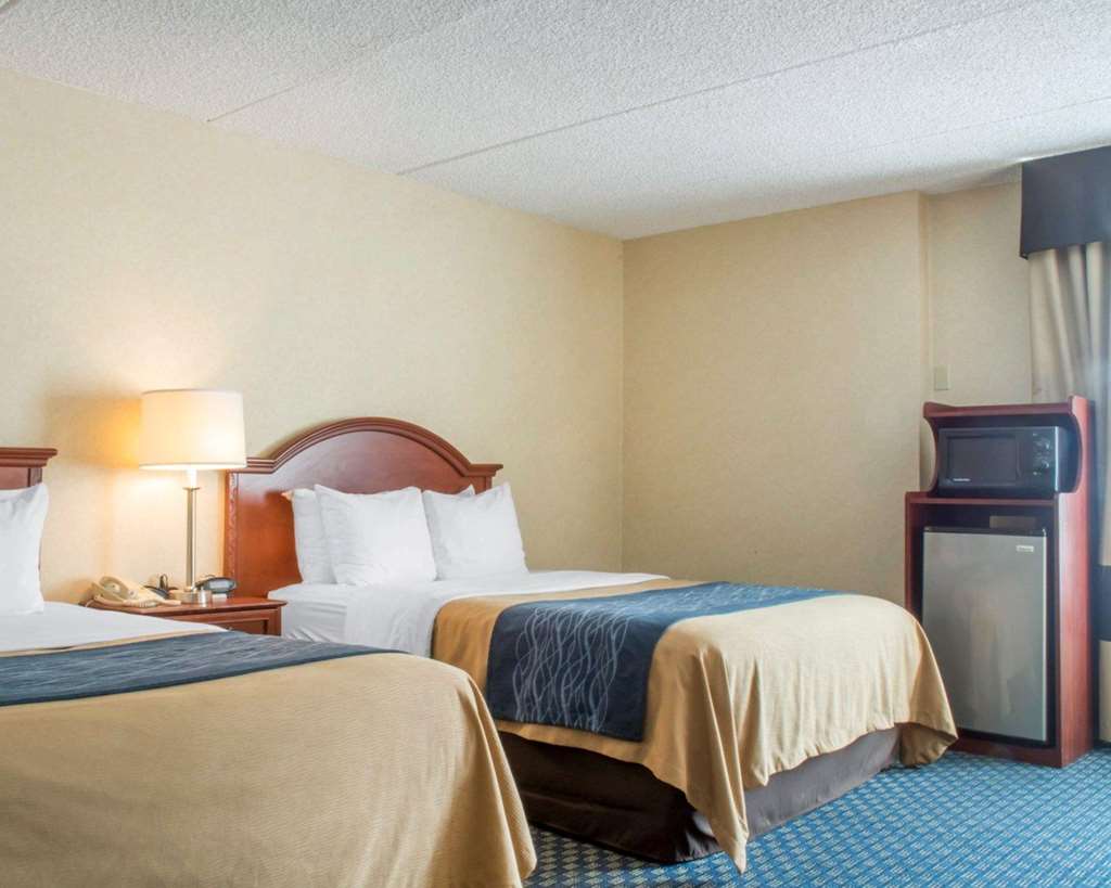 Hammock Hotel Rochester Niagara Falls - photo 10