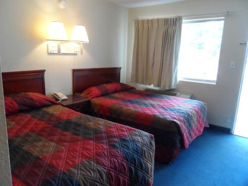 Carpet Inn - photo 32