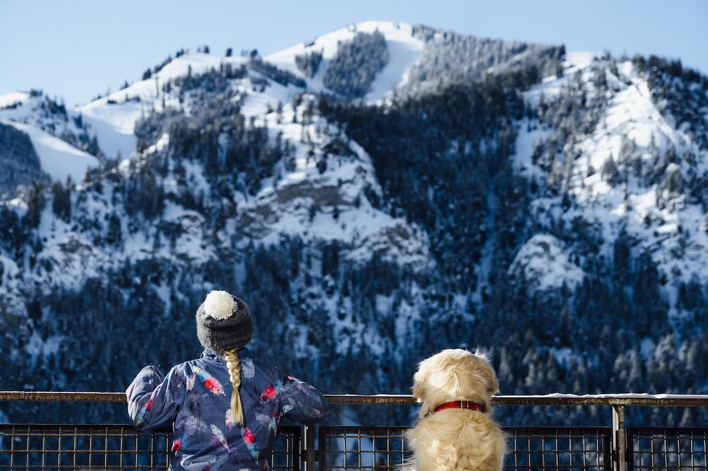 Limelight Hotel Ketchum - photo 91
