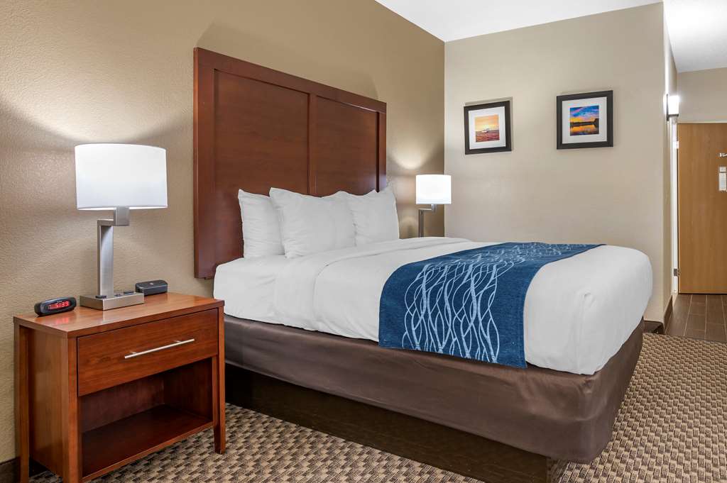 Comfort Inn Near Kokomo Speedway - photo 24