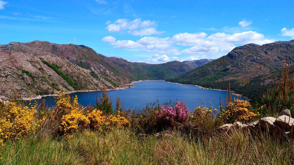 Agrinho Suítes & Spa Gerês — 4-Star Luxury Hotel in Terras De Bouro, Portugal