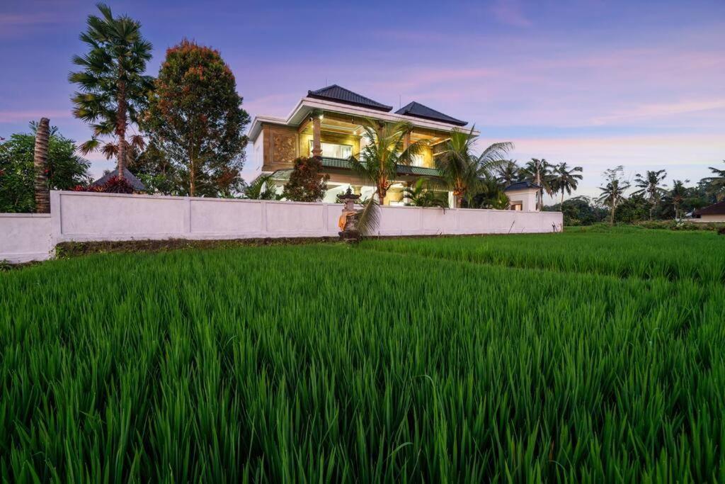 Didori Art Villa serene view of green and sunset — 4-Star Luxury Hotel in Ubud, Indonesia