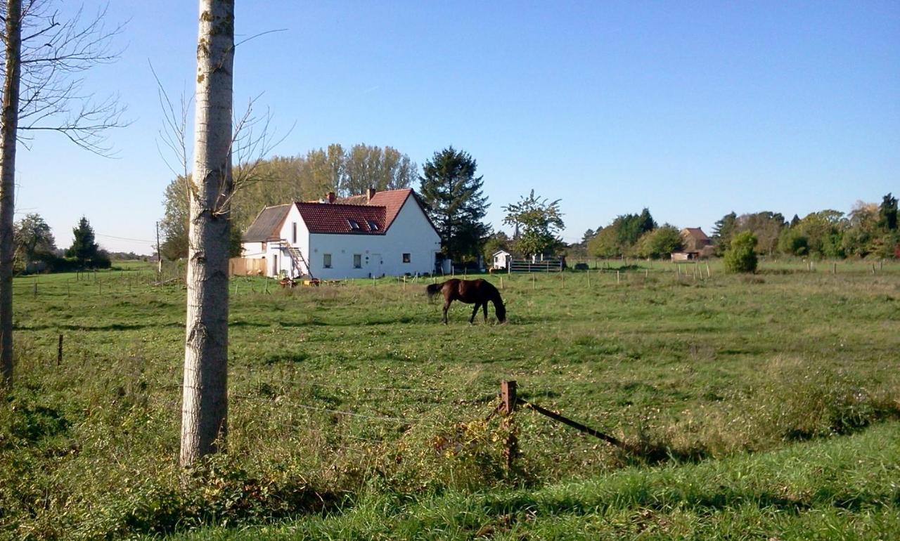 Ferme Lenfant in Hensies, Belgium