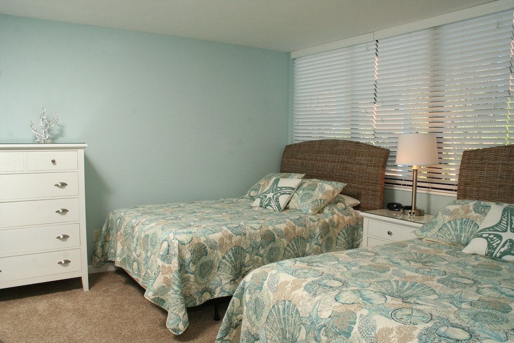 Carolina Dunes - photo 2