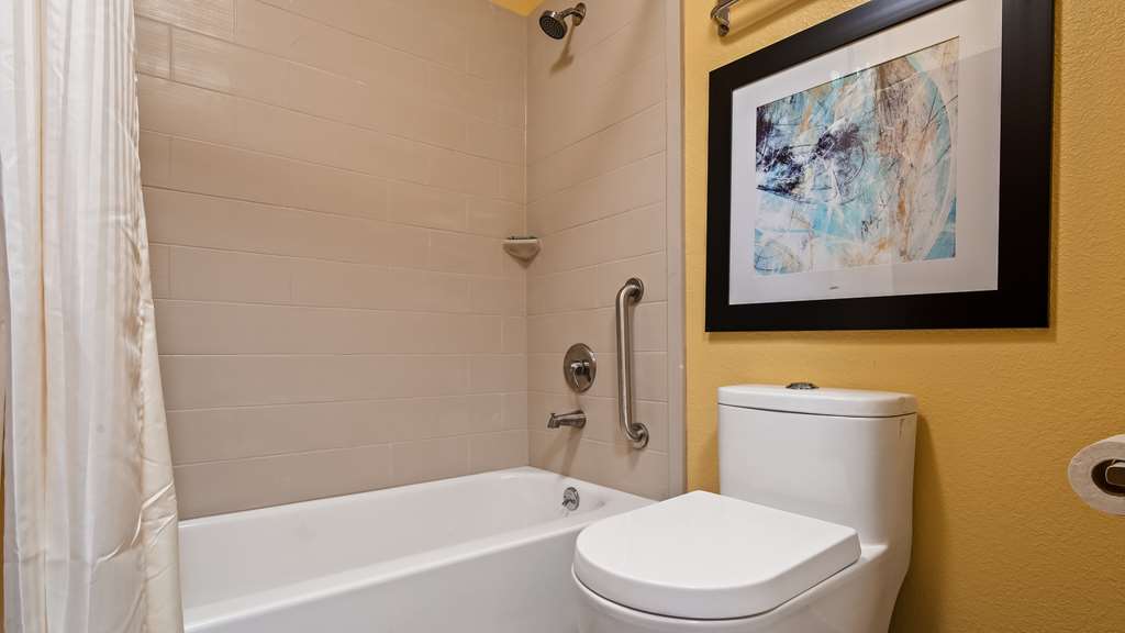 Best Western DeWitt - photo 20