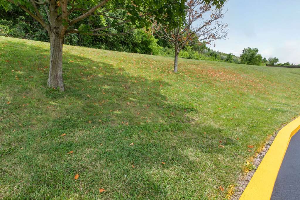 Super 8 by Wyndham Bridgeport Clarksburg Area - photo 32