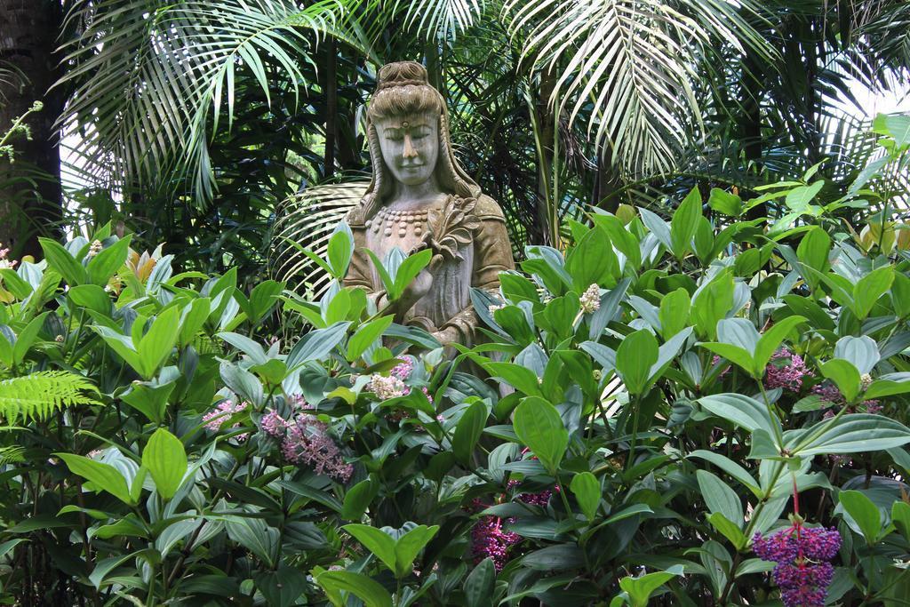 Atherton Rainforest Motor Inn — Atherton — photo 4