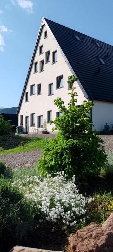 Chata Otulina Radków dom u podnóża Gór Stołowych in Radkow, Poland