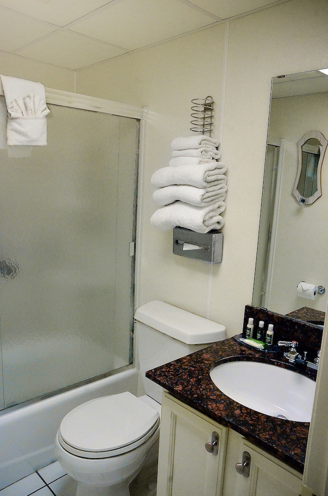 Centerstone Plaza Hotel Soldiers Field Mayo Clinic Area - photo 31