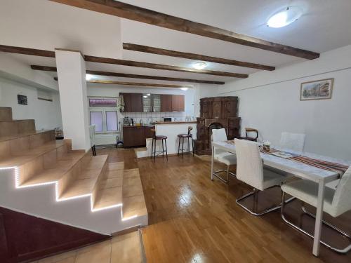 The Black Cat in Bran, Romania