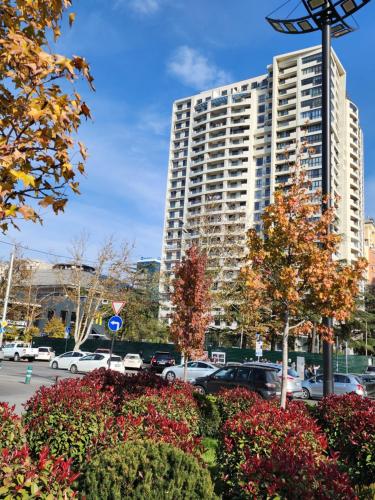 Orexus Tower 2 Bedroom Flat near Holiday Inn Hotel in City Center