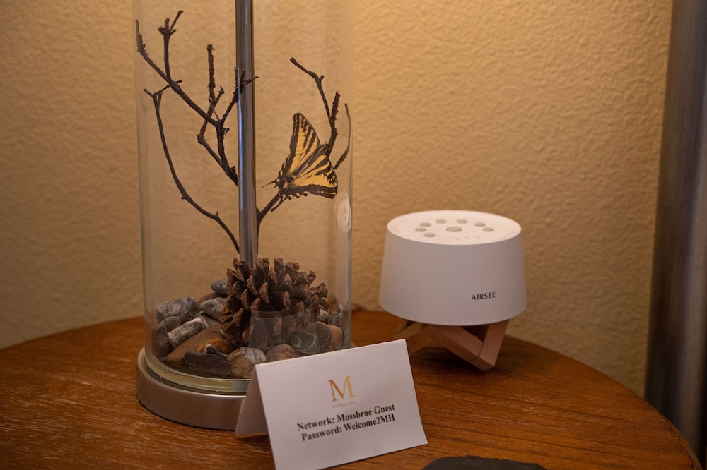 Mossbrae Hotel - photo 18