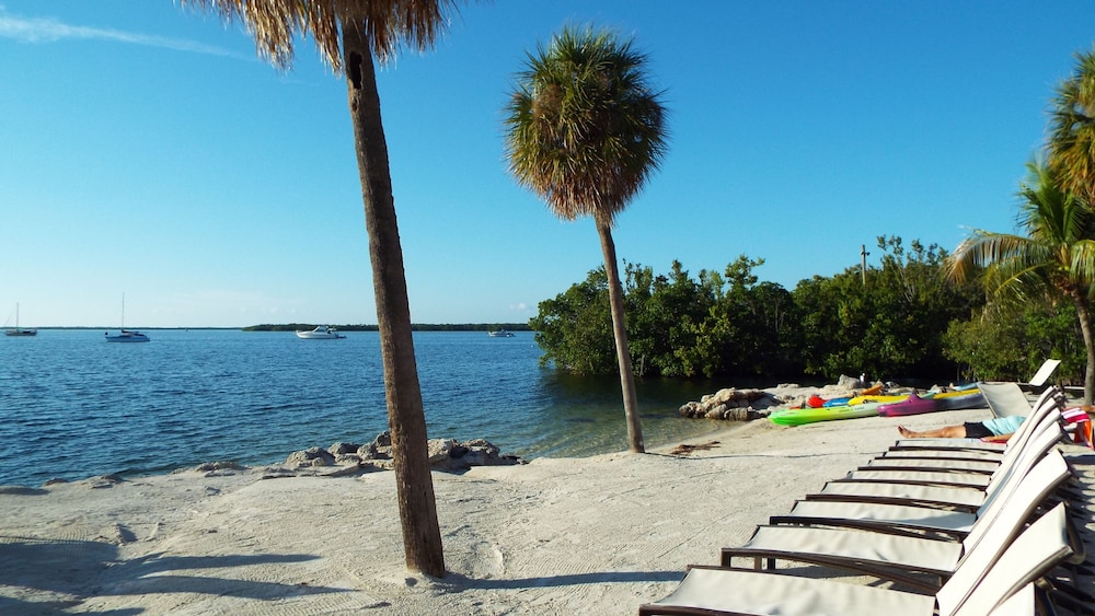 Hampton Inn Key Largo Manatee Bay - photo 45