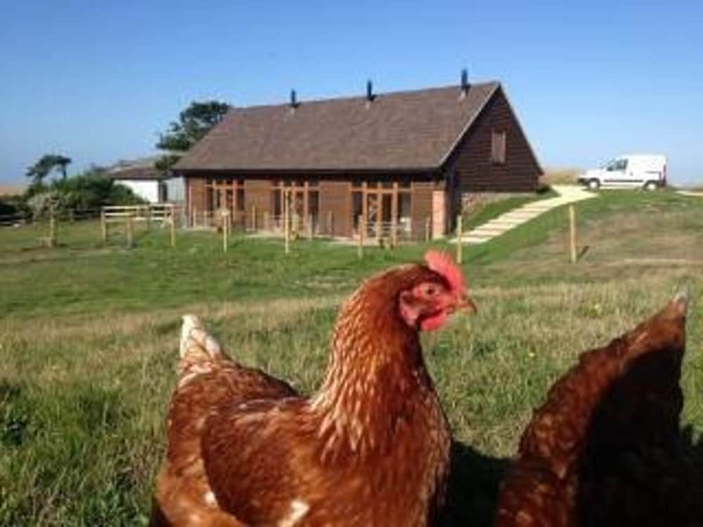 Surf Shack 1 Bed Cottage Sleeps 2 Pet Friendly — 4-Star Luxury Hotel in Newport, United Kingdom