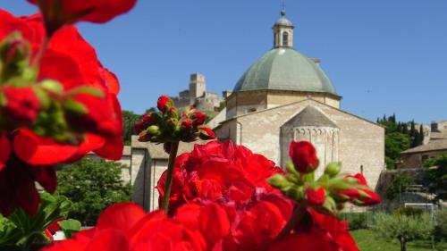Hotel Ideale — Assisi — photo 3