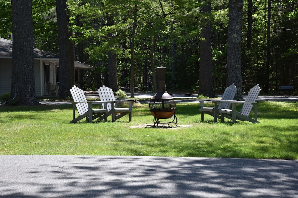 Acadia Pines Motel - photo 30