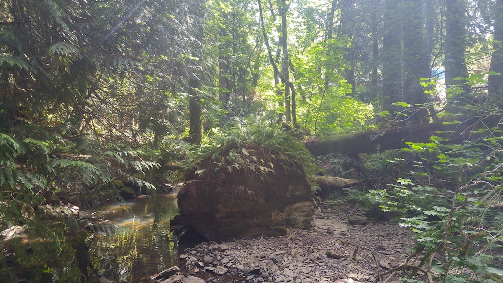 Scott Creek Farm - photo 19