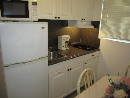 Apollo Resort Motel - photo 43
