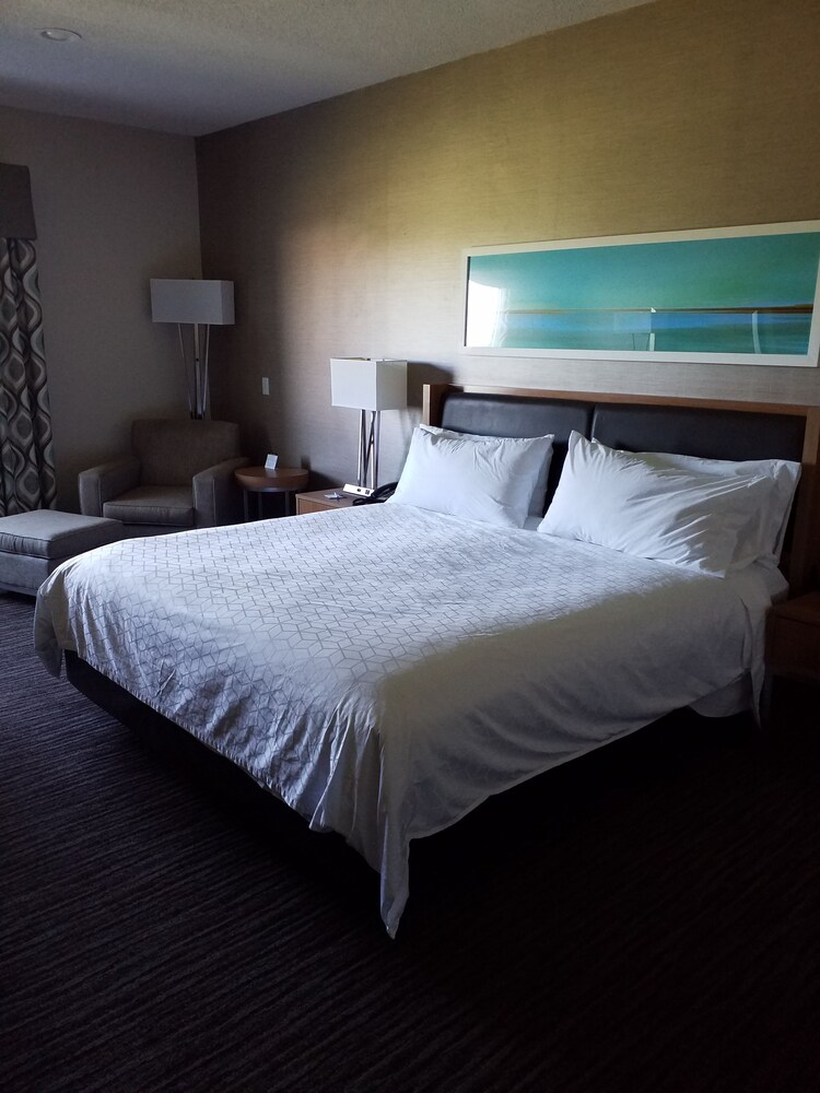 Holiday Inn Express Annapolis East Kent Island by IHG - photo 15