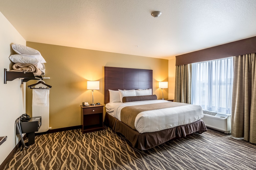 Cobblestone Hotel & Suites Hartford - photo 10