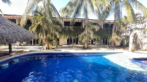 Arca in Brisas De Zicatela, Mexico