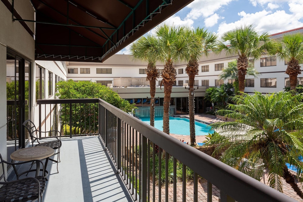 Sheraton Suites Orlando Airport - photo 29