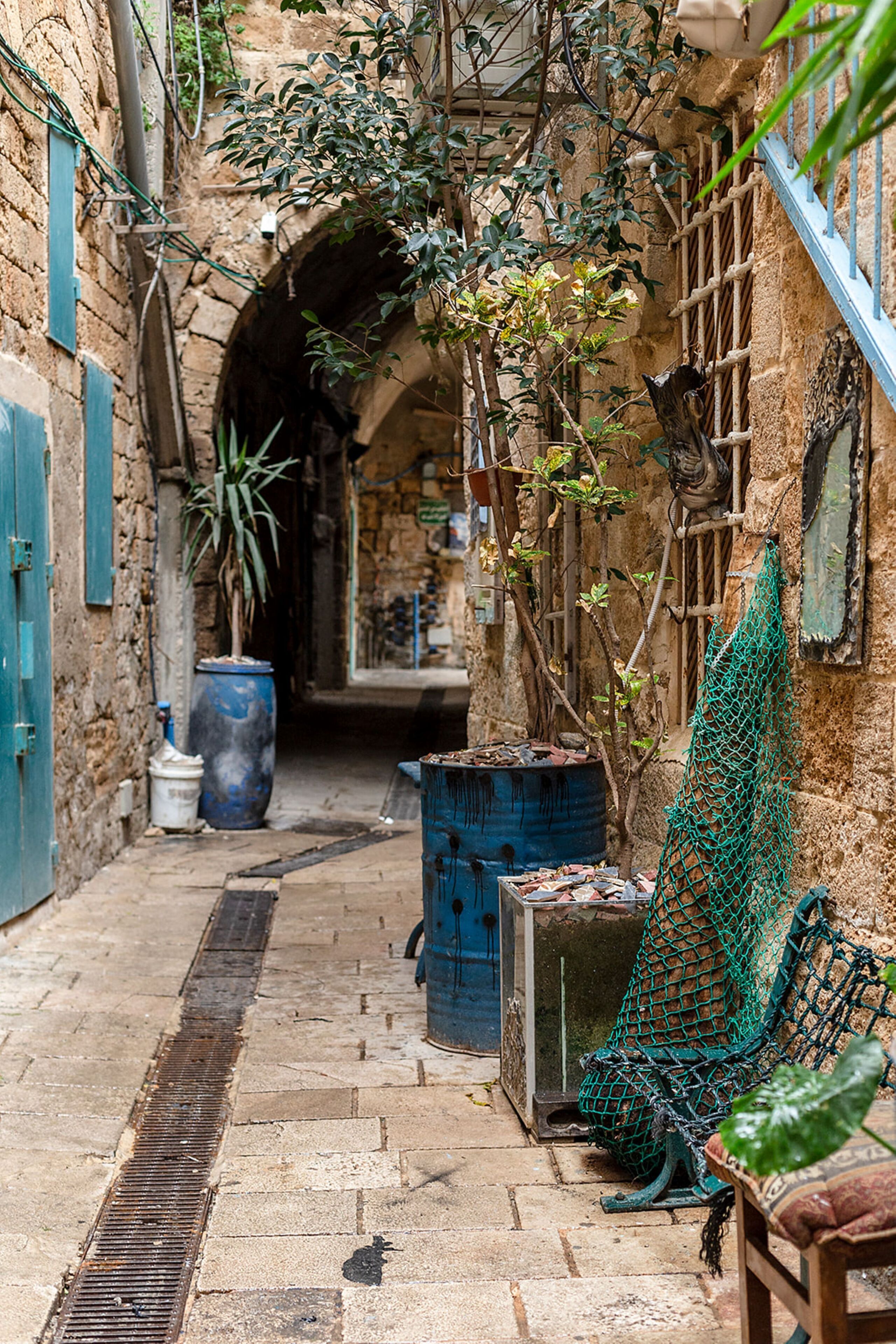 Mirsa — Acre — photo 4