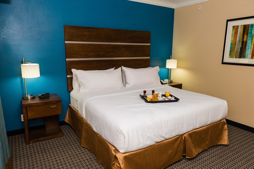 Holiday Inn Houston Downtown by IHG - photo 7