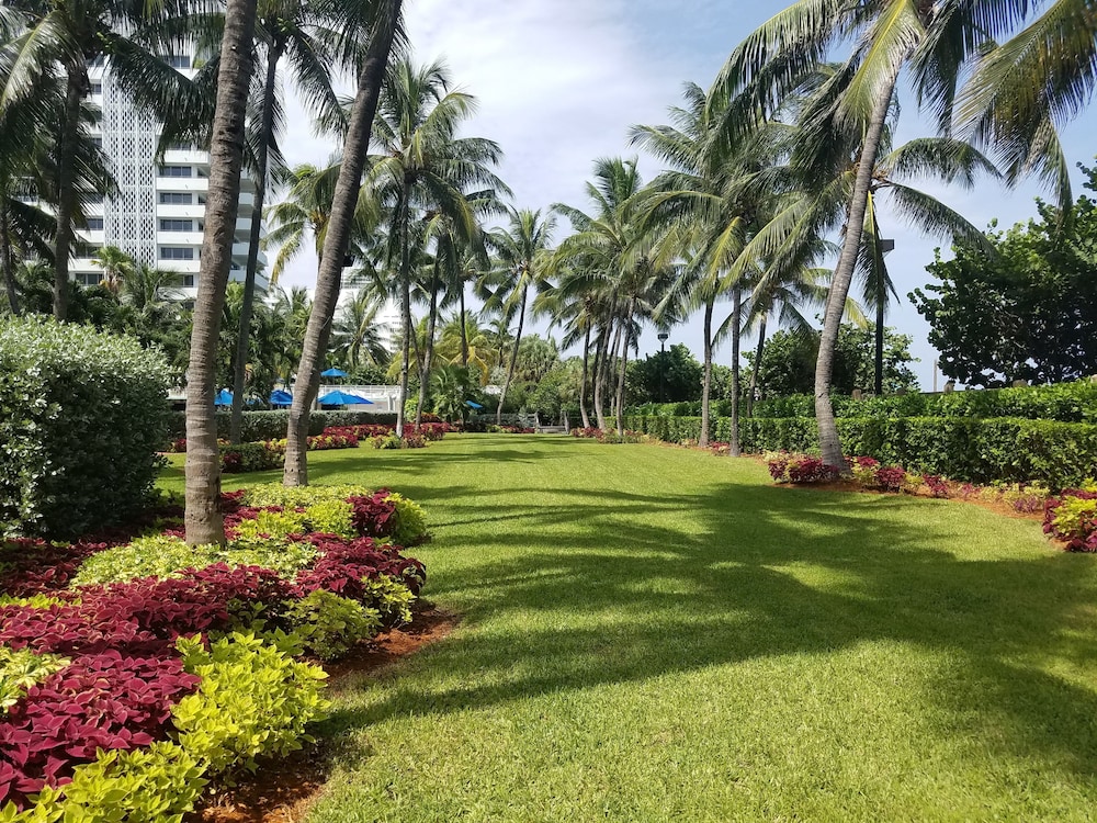 Holiday Inn Miami Beach Oceanfront by IHG - photo 68